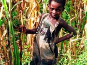 The young farmers of Malawi inspecting the crops